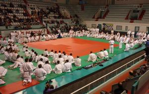 50ce34291cf0b_P1050729 (2).jpg