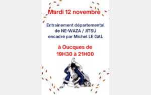 2 entraînements départementaux Jujitsu / Ne Waza sont prévus encadrés par Michel Le Gal,