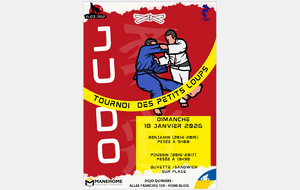 Tournoi des Petits  Loups - Blois - Benjamins