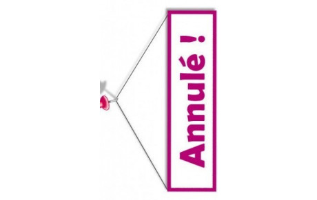 Cours de Taïso du 10 janvier Annulé