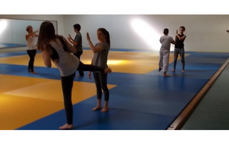 Self-défense : La Presse en parle ...La NR le 8/10/2105