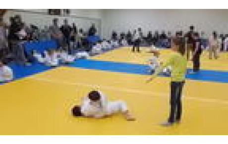 La presse en Parle ... la NR du 8/04/2016