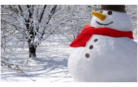 Cours annulés le 9 et 10 fevrier